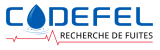 Logo Codefel